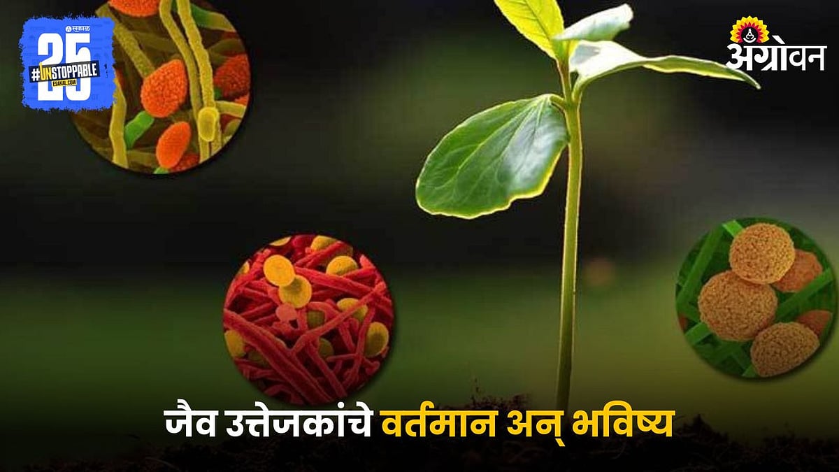 Bio-Stimulants | जैव उत्तेजकांचे वर्तमान अन् भविष्य | The present and ...