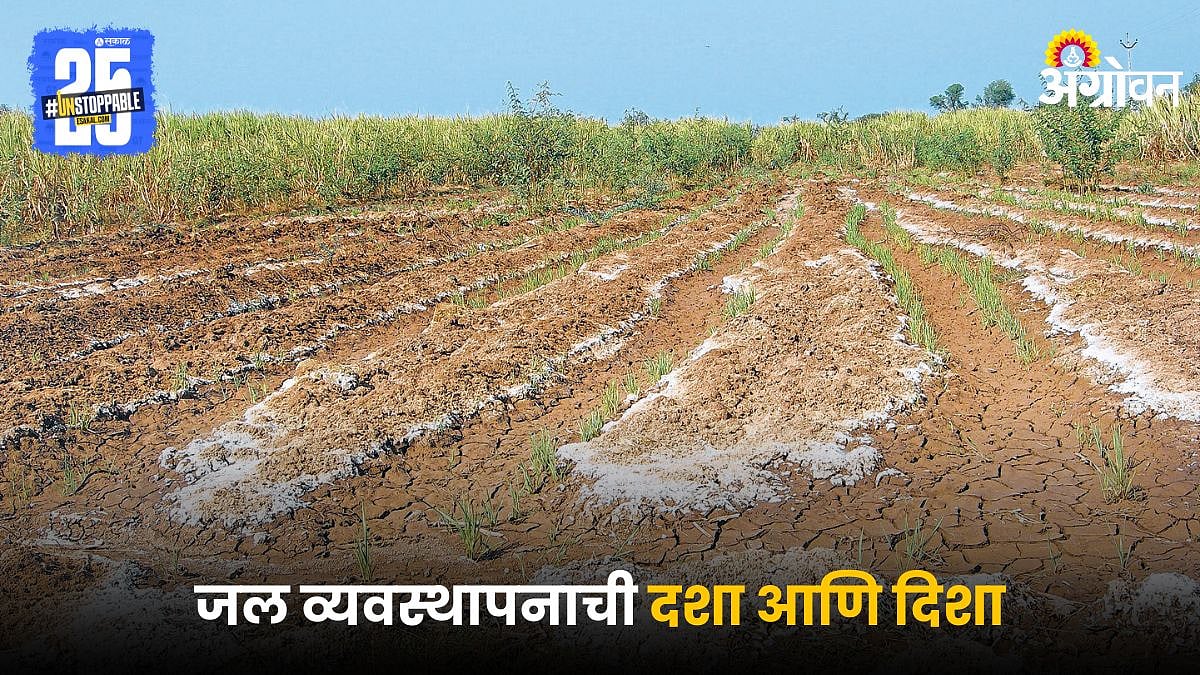 Maharashtra Water Crisis | जल व्यवस्थापनाची दशा आणि दिशा | Status and ...