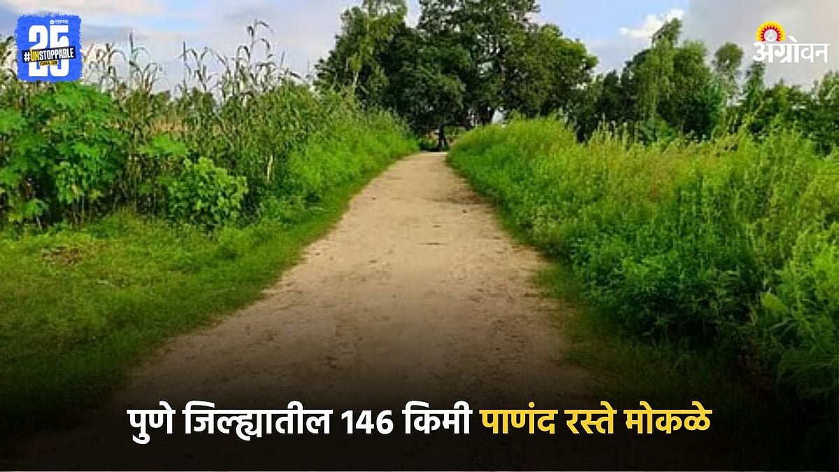 Pune Rural Development | शेतकऱ्यांना दिलासा! पुणे जिल्ह्यातील १४६ किमी ...