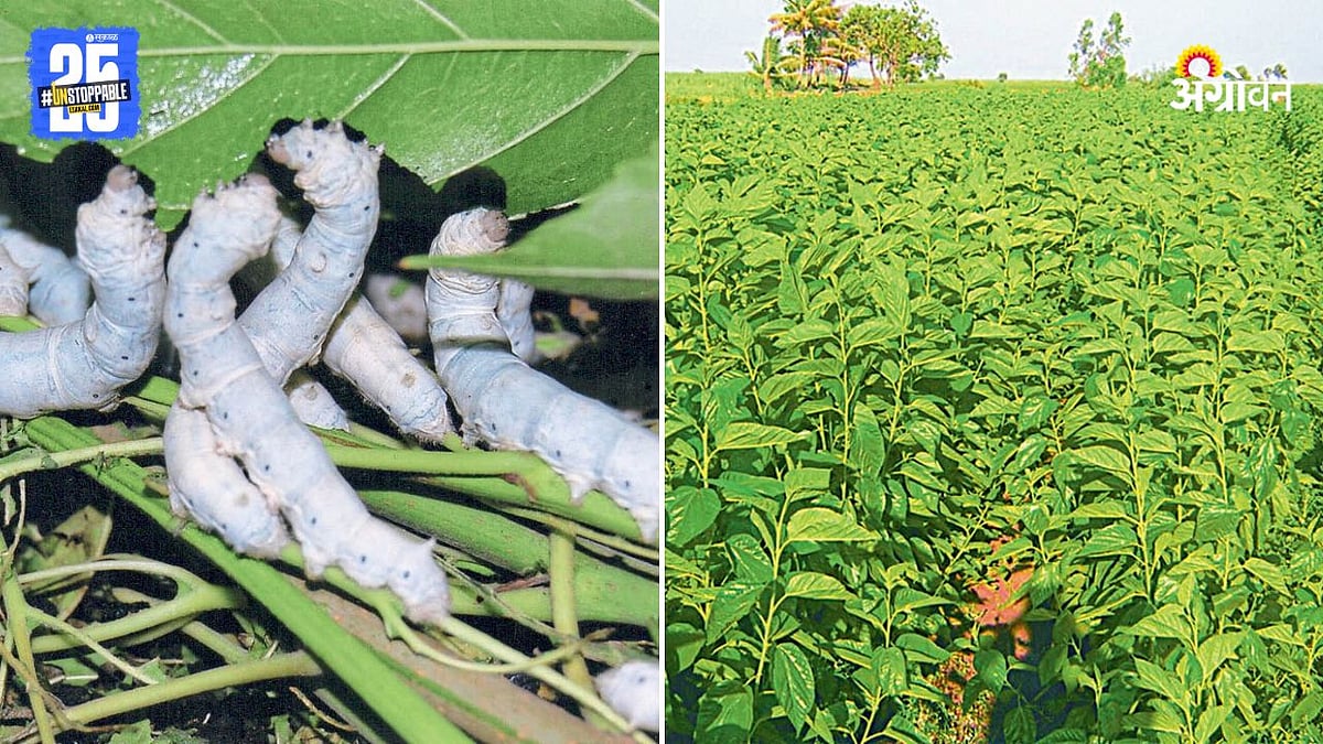 Sizning xojayiningiz VKontakte tarmogida