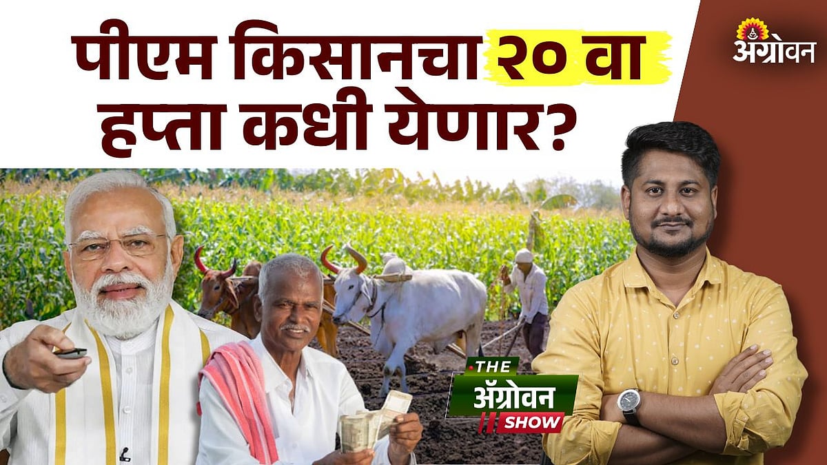 June 2025 PM Kisan payment: पीएम किसानचा हप्ता जूनमध्ये? |PM Kisan June ...