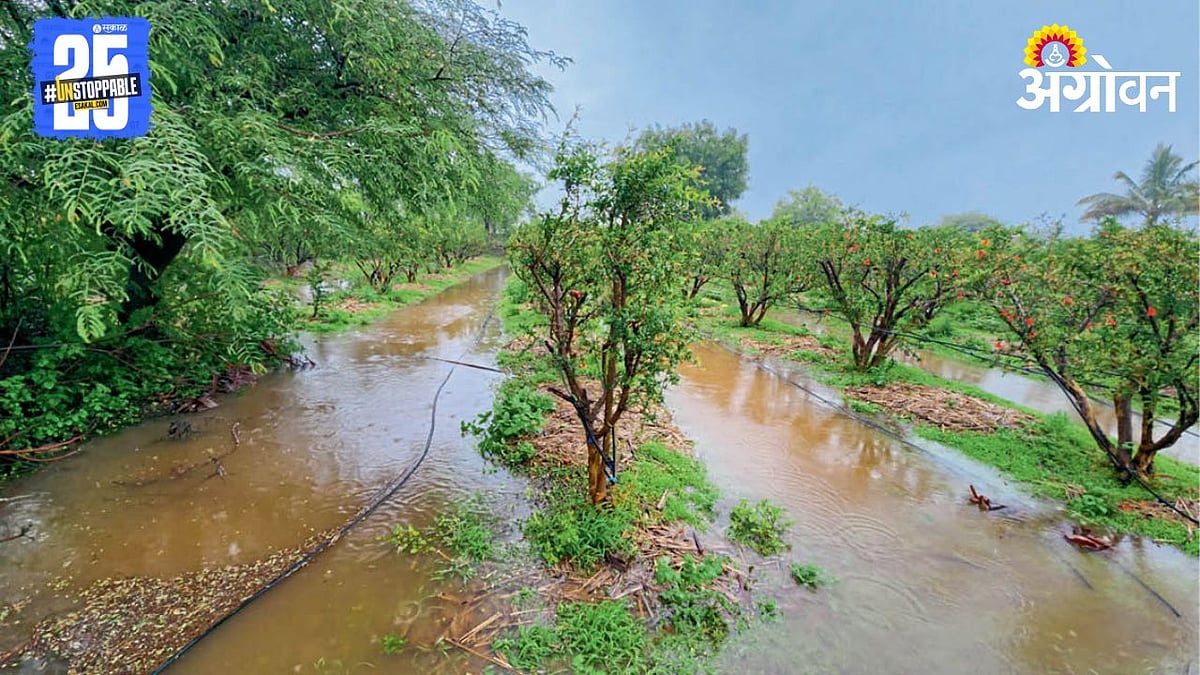 Satara Heavy Rain । पावसाने दुष्काळी तालुक्यांना झोडपले । Heavy Rains ...