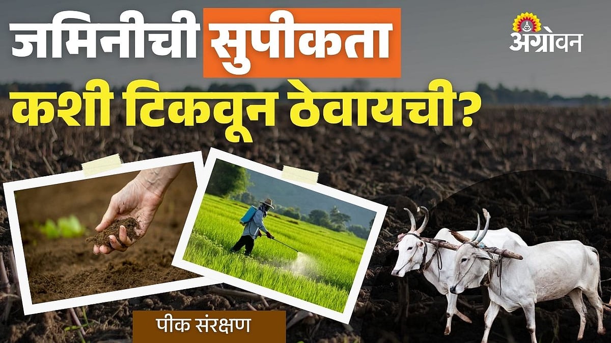 soil management techniques: जमिनीची सुपीकता कशी टिकवून ठेवायची? |How to ...