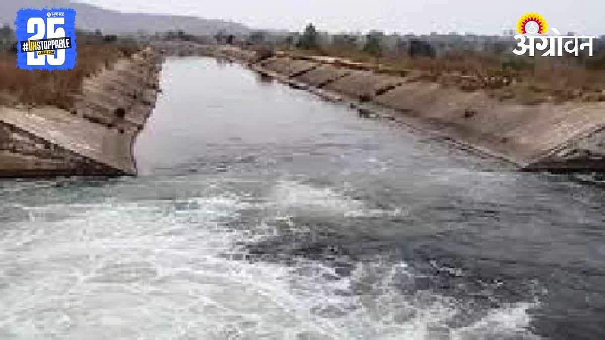 Agriculture Damage । कालवे वाहते राहिल्याने जमीन नापीक । 45 Days of ...