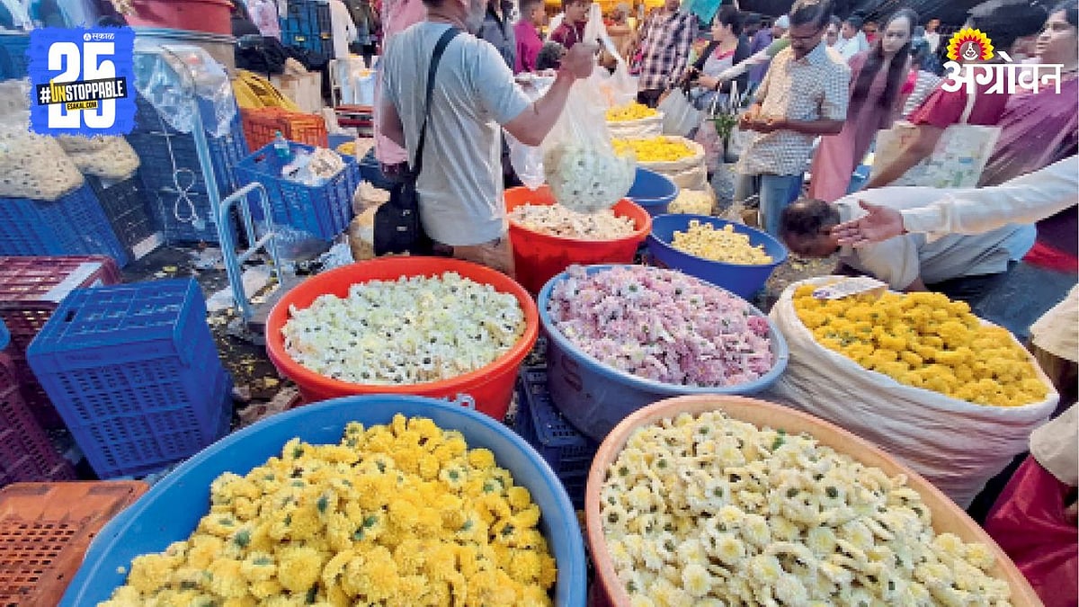 Floriculture Crisis | फुलांना दर अन मागणीही मात्र अतिवृष्टीचे सावट ...