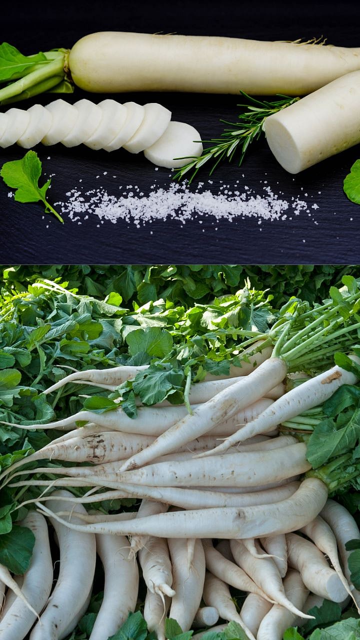 Radish Health Benefits: मुळा कोणत्या आजारांवर आहे गुणकारी? 6 Radish Health Benefits