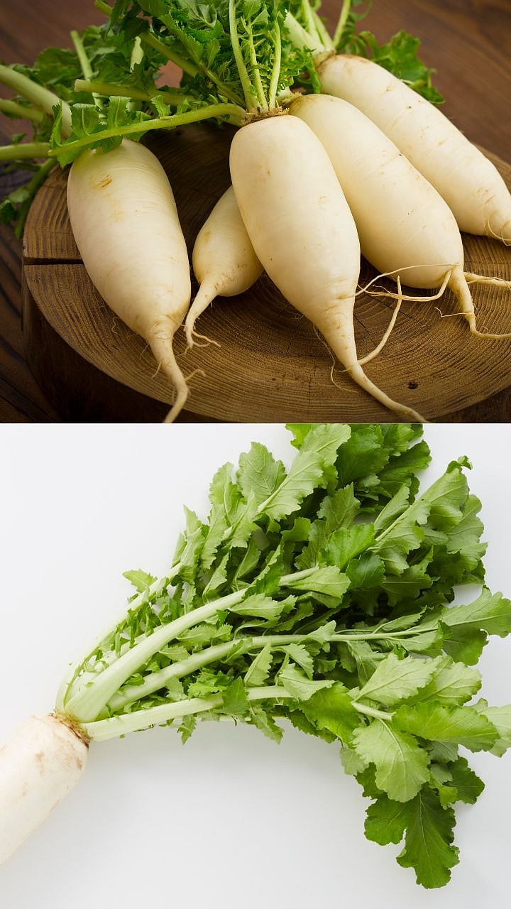 Radish Health Benefits: मुळा कोणत्या आजारांवर आहे गुणकारी?