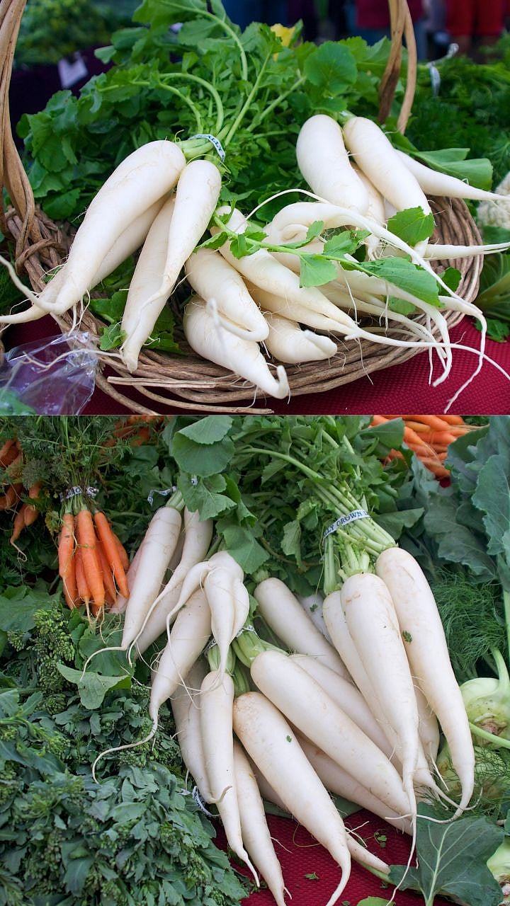 Radish Health Benefits: मुळा कोणत्या आजारांवर आहे गुणकारी? 5 Radish Health Benefits