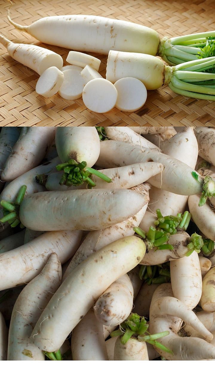 Radish Health Benefits: मुळा कोणत्या आजारांवर आहे गुणकारी? 2 Radish Health Benefits