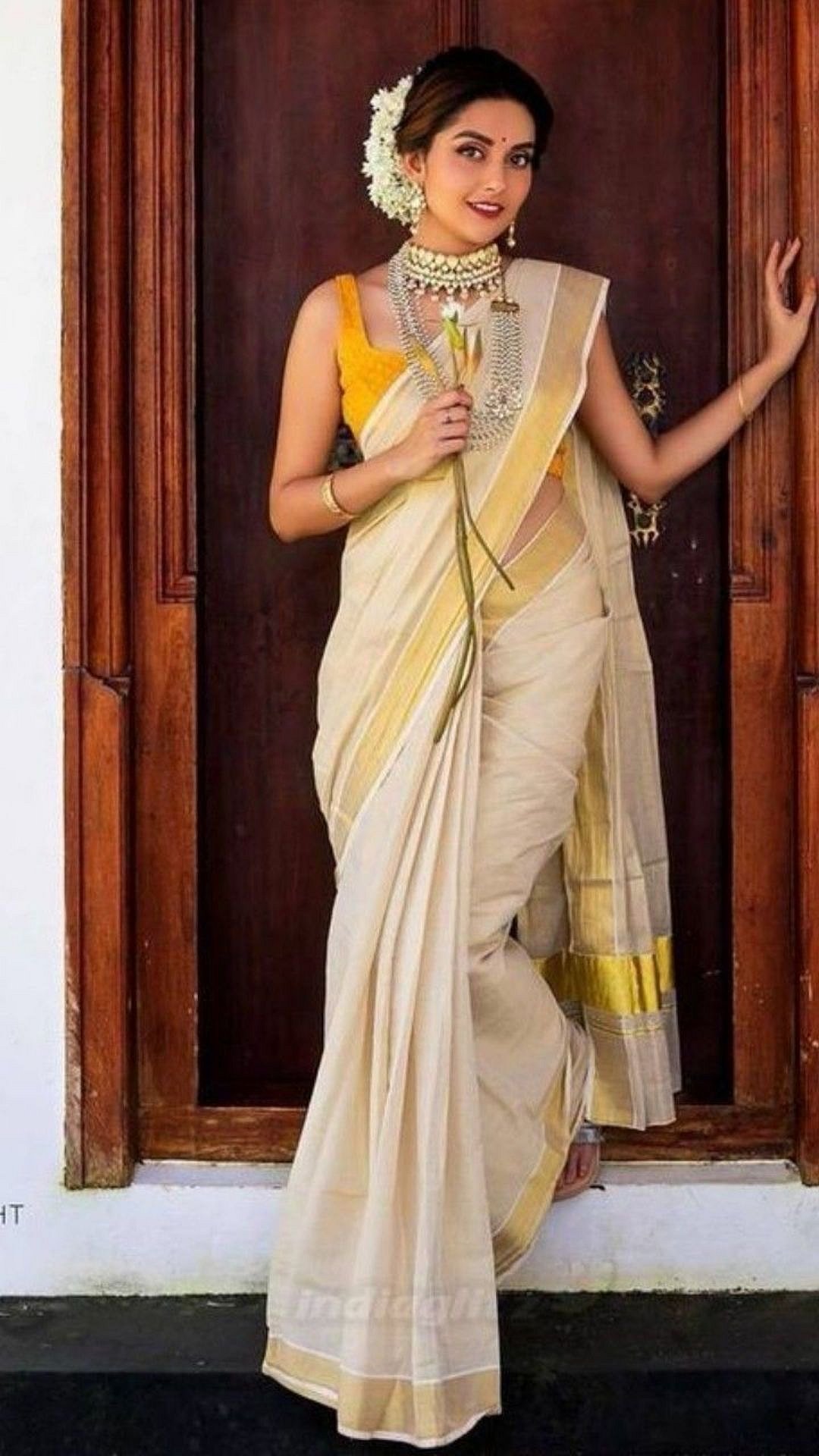 South Indian Sarees : तुम्हाला साऊथ इंडियन साड्यांचे 'हे' प्रकार माहिती असायलाचं हवेत 3 South Indian Sarees