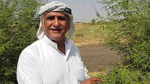 المهتم بالنباتات البرية في الجزيرة العربية عبدالله البراك
