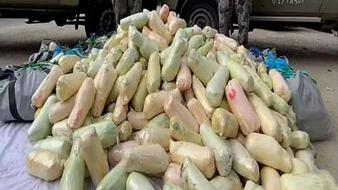 القات المخدر