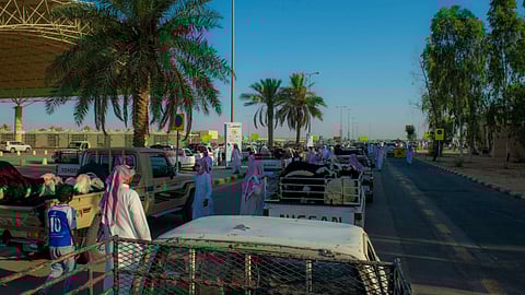 بيئة القصيم