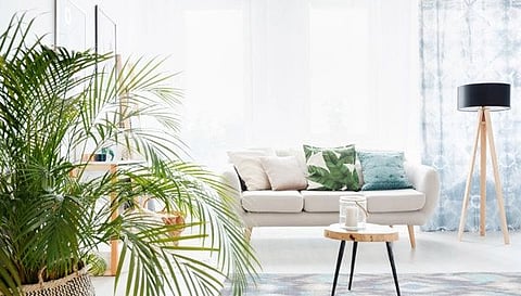  الحفاظ على بيئة صحية داخل المنزل 


