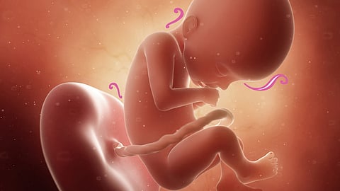 أسباب التفاف الحبل السري حول الجنين 