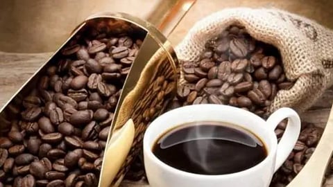  البن البرازيلي 