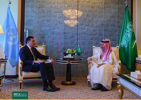 جانب من لقاء وزير الخارجية