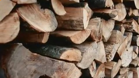 حجم الاحتطاب