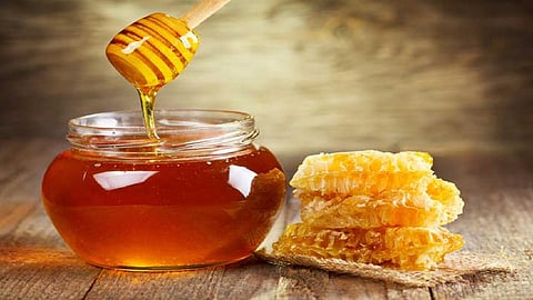  عسل النحل - أرشيفية

