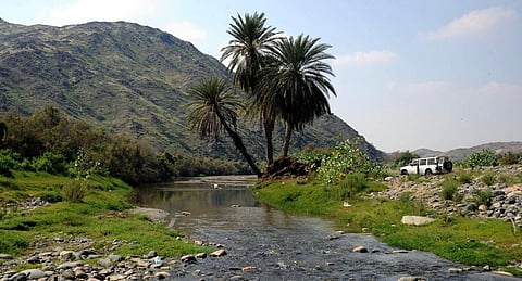 أودية الجزيرة العربية