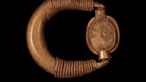 اكتشاف كنز ذهبي 