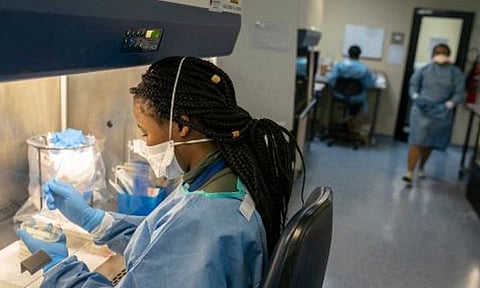 دراسة تكشف فاعلية البكتيريا كبديل علاجي عن الحقن والأقراص الدوائية