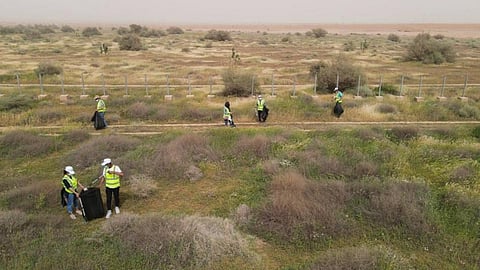 محمية الملك عبدالعزيز 