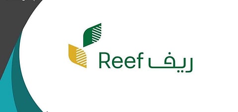 برنامج ريف