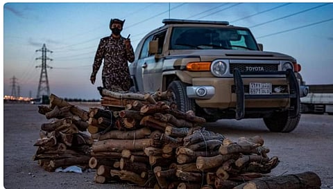 ضبط حطب محلي – أرشيفية 