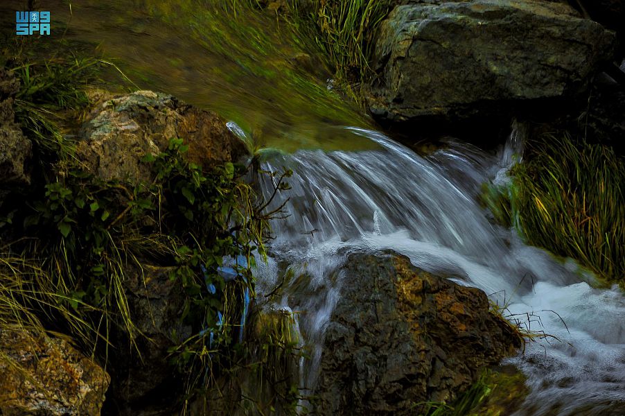 وادي ثراد بالباحة 