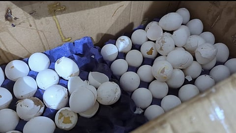 أمانة جدة تغلق معملا مخالفا لإعداد الحلويات والمعجنات