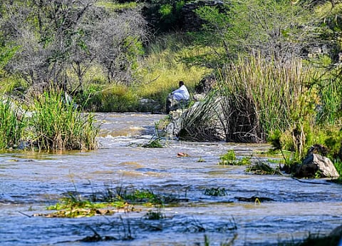 وادي الحمدة بالباحة