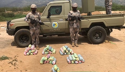 حرس الحدود بجازان يحبط تهريب 100 كيلوجرام من «القات» المخدّر