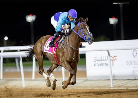 موسم سباقات الطائف 2023