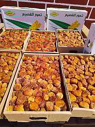 «تمور القصيم» تغزو السوق الأوروبية بـ50% من إجمالي صادرات المملكة الإجمالية