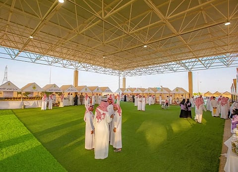 مهرجان العنب