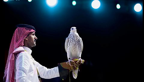 الصقر المباع