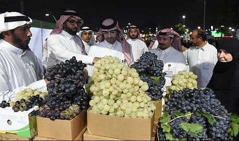 بيئة الطائف تطلق مهرجان العنب والرمان الثقافي مطلع أكتوبر
