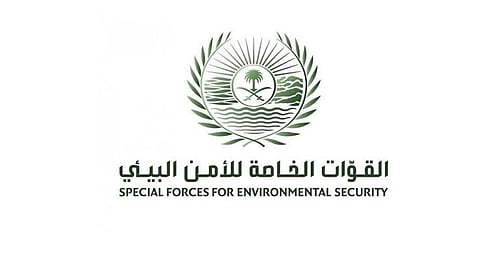 الأمن البيئي 