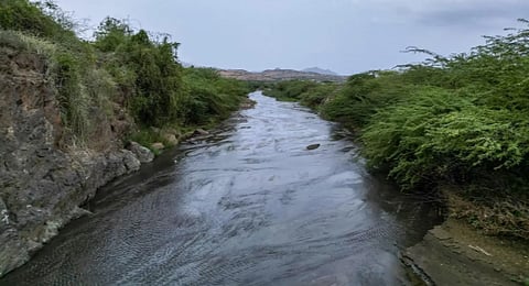 أحد الوديان بمحافظة الحرث