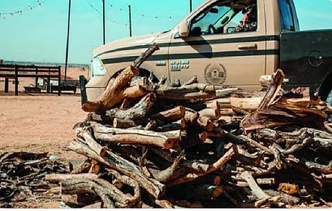 الحطب المحلي