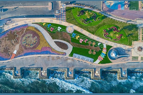 جانب من المشروعات