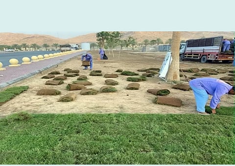 منتزه جعرانة