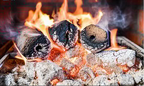 جفت الزيتون