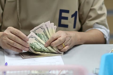 الدولار 