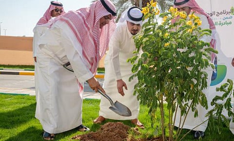 البرنامج الوطني للتشجير