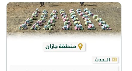 نبات القات المخدر