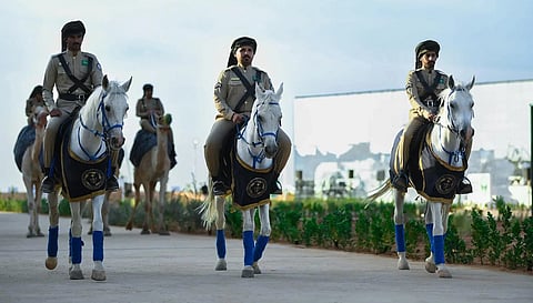 قوات الأمن والحماية