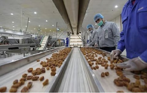 صناعة التمور 