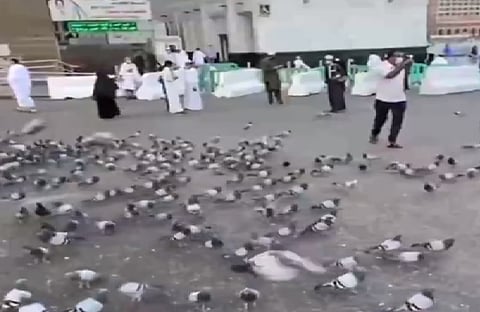 إلقاء الأطعمة على الأرصفة